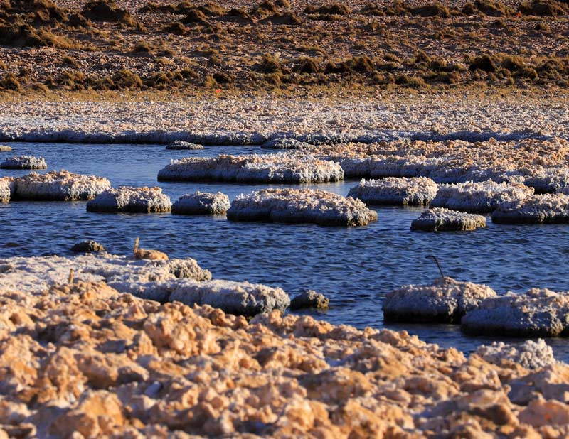 Quillagua Space Hotel